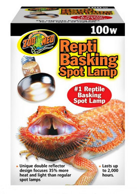 Bearded dragon lighting